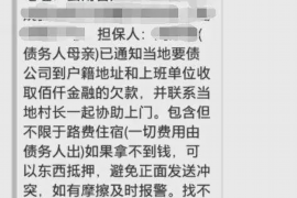 河源为什么选择专业追讨公司来处理您的债务纠纷？